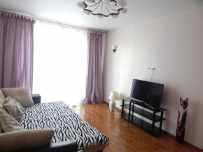 Apartment in Mytishi on Rozhdestvenskaya, Mytishchi